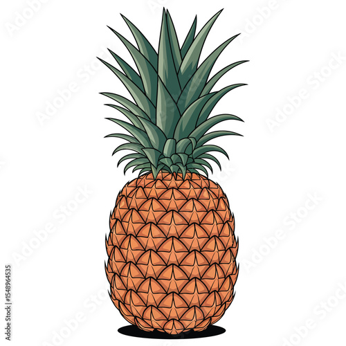 pineapple on white background