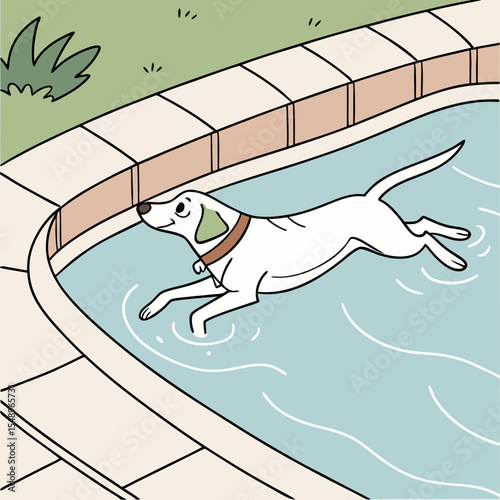 White Dog Paddling in Light Blue Swimming Pool with Beige Tile Deck and Green Grass water