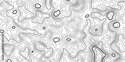 Soft White Topographic Pattern with Gentle Curves and Abstract Elevation Contour Mapping.