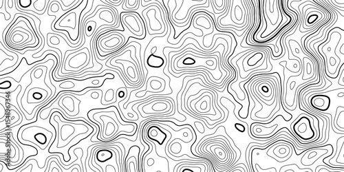 Elegant Abstract Contour Design in High Contrast Black and White Topography Style.