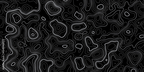 Black Monochrome Topographic Pattern with Elevation Lines and Smooth Contour Mapping.