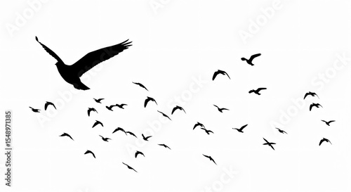 A flock of birds silhouettes flying against a white background in a minimalist style image design art