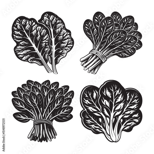  black silhouette of spinach bundle on the white background