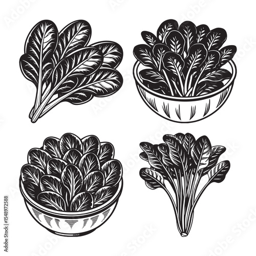  black silhouette of spinach bundle on the white background