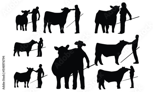 silhouette of livestock cattle show