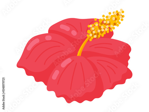 Red Tropical Hibiscus Flower Illustration