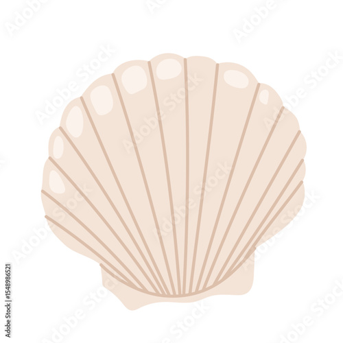 Sea shell scallop. Hand drawn underwater elements. Illustration for summer, ocean design, beach decor, kids projects. 