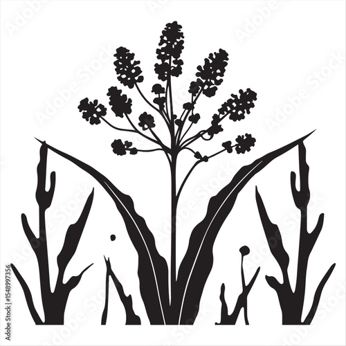 A futuristic sci-fi styled vector silhouette of swamp milkweed, rendered in classic black and white, set against a clean white background with subtle space elements.