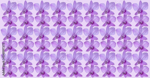 arrangement of orchid flowers with soft violet purple color and background with similar color as inspiration for fine art design or applied art