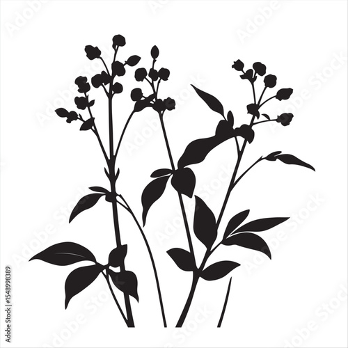 A timeless and elegant vector silhouette of swamp milkweed against a white background, rendered in classic black and white with a cast bronze surface texture and antique patina finish.