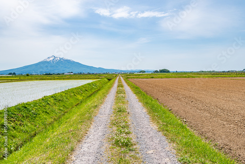 春の農道と岩木山