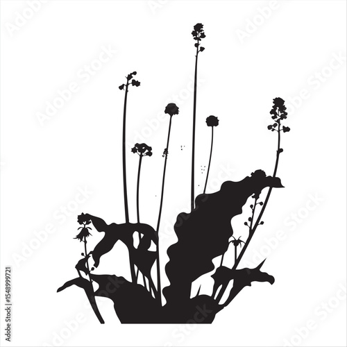 Elegant black and white vector silhouette of swamp milkweed against a white background, rendered in a classic style, showcasing surreal and dreamlike imagery with bizarre, fantastical elements.
