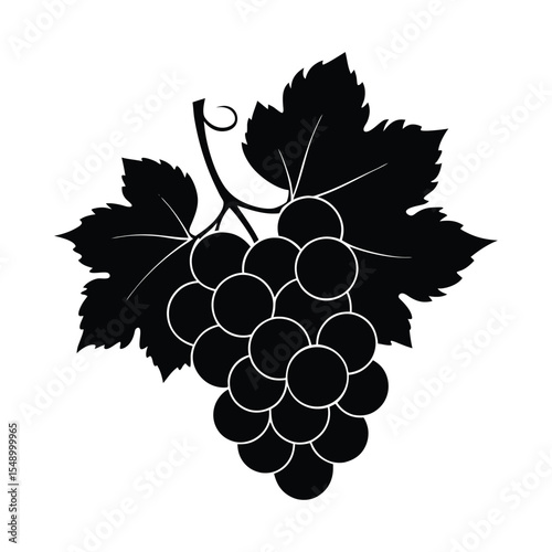 bunch of grapes vector illustration