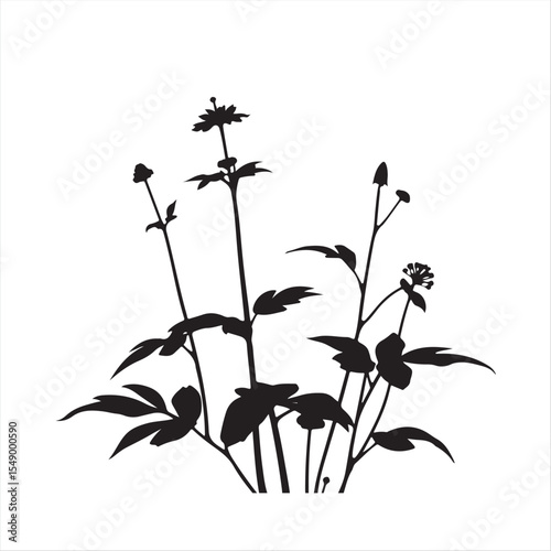 Isekai anime styled vector artwork, a classic black and white silhouette of swamp milkweed, isolated on a white background.