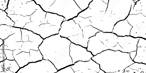 A high-contrast black and white texture of cracked earth or dry, parched ground. The image features irregular, jagged fissures and organic shapes, creating a fragmente.