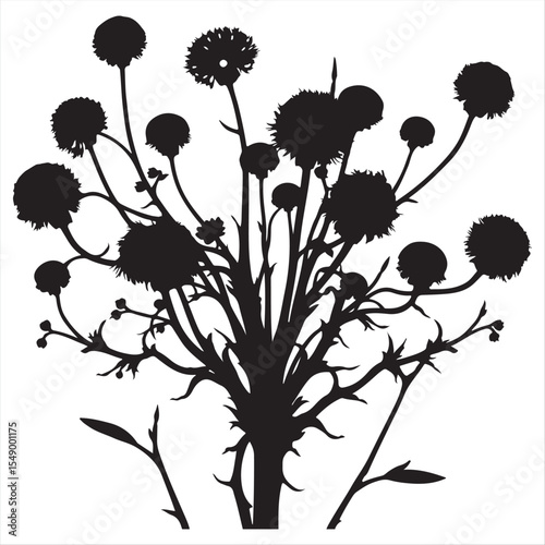 Surreal dreamlike swamp milkweed silhouette vector artwork in classic black and white, set against a white background, depicting fantastical bizarre elements in an elegant and timeless style.