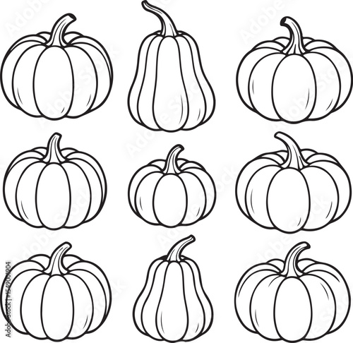 Autumn Harvest Pumpkins – Simple Outline Illustration