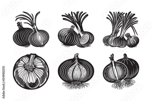  black silhouette of onion bundle on the white background