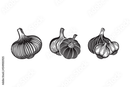  black silhouette of garlic bundle on the white background