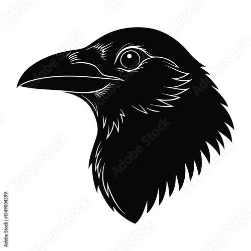 raven on a white background