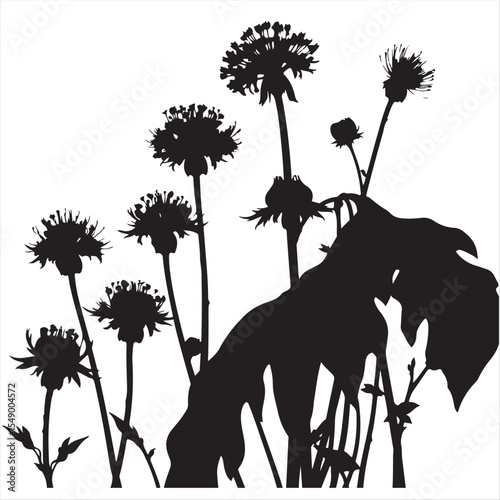 Timeless and elegant black and white vector illustration, a dreamlike surreal swamp milkweed silhouette against a white background