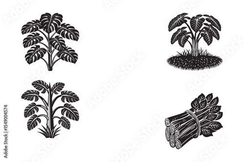   black silhouette of taro stalk bundle on the white background