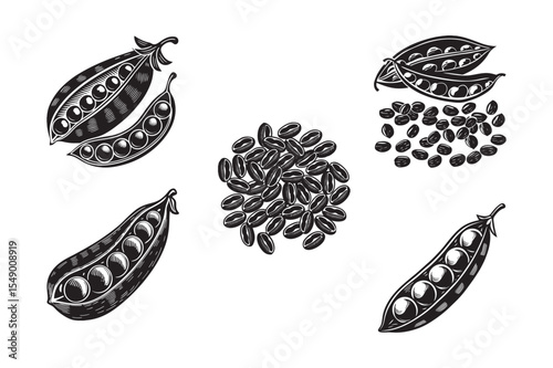  black silhouette of green pea pods bundle on the white background