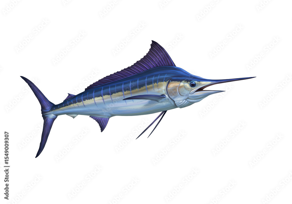 Fototapeta premium Isolated Marlin Blue Fish Illustration