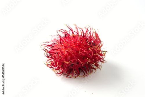 rambutan on white background,Semang