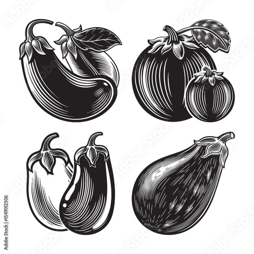  black silhouette of eggplant bundle on the white background