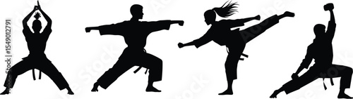 Dynamic Martial Arts Silhouettes: Karate, Taekwondo, and Kung Fu Poses in Action