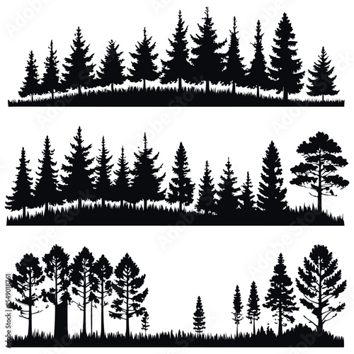 Pine tree silhouette forest landscape layers
