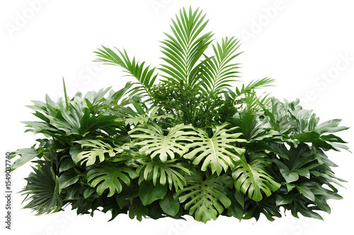 Fototapeta Naklejka Na Ścianę i Meble -  tropical leaves foliage plant jungle bush floral isolated on white background PNG ,ai generated