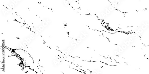 Minimalistic black and white marble texture with delicate, sparse veining and abstract organic details. Ideal for modern, clean backgrounds, luxury surfaces, or elegant design elements.