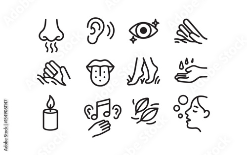 Sensory Experience A Collection of Five Senses Icons Depicted Clearly
