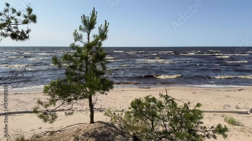 Storm in the Baltic in summer on a sunny day. Waves crash onto a sandy beach. Latvia, Gulf of Riga. 