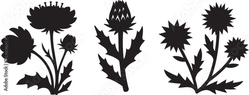 Simple black and white silhouette of flowers