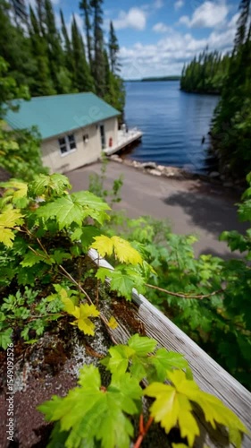 Serene Lakeside: Gentle Breeze, Calm Waters