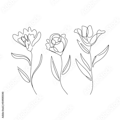 Soft Botanical Line Art Trio. Three graceful flowers in a linear style with light transparency - tenderness and minimalism in one set.