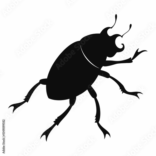 black beetle isolated on white