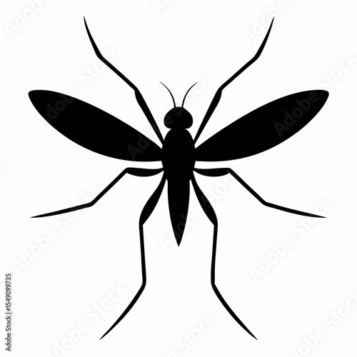 spider on a white background
