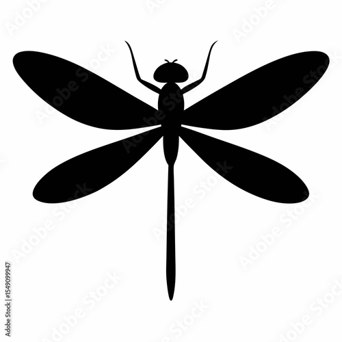 dragonfly on white background