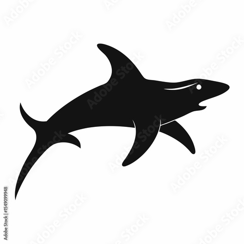 shark isolated on white background