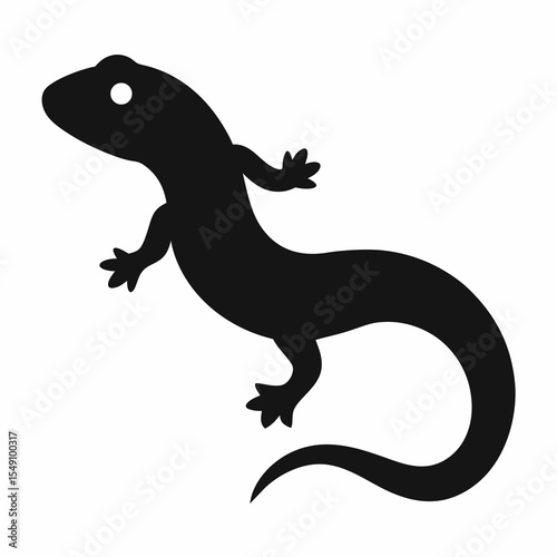 lizard on white background