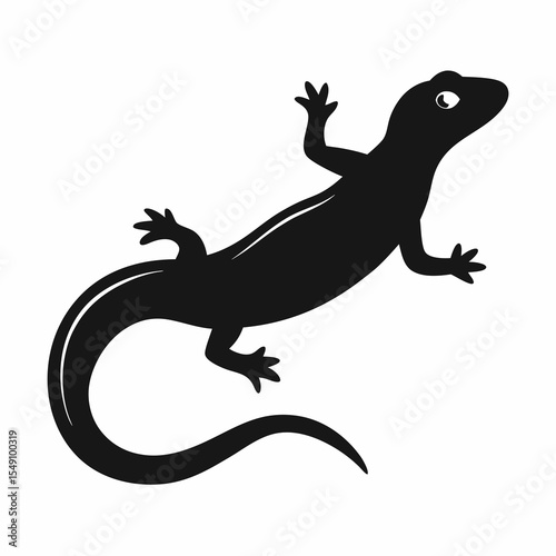 lizard on a white background