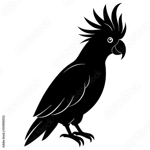 black and yellow macaw ara