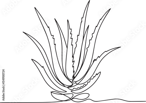 continuous single line drawing of aloe vera plant with pointed leaves in black and white line art style