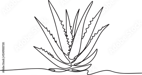 continuous single line drawing of aloe vera plant with pointed leaves in black and white line art style