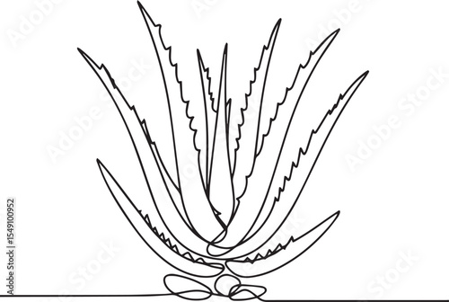 continuous single line drawing of aloe vera plant with pointed leaves in black and white line art style