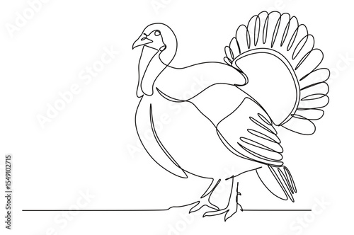 continuous one line drawing of a turkey